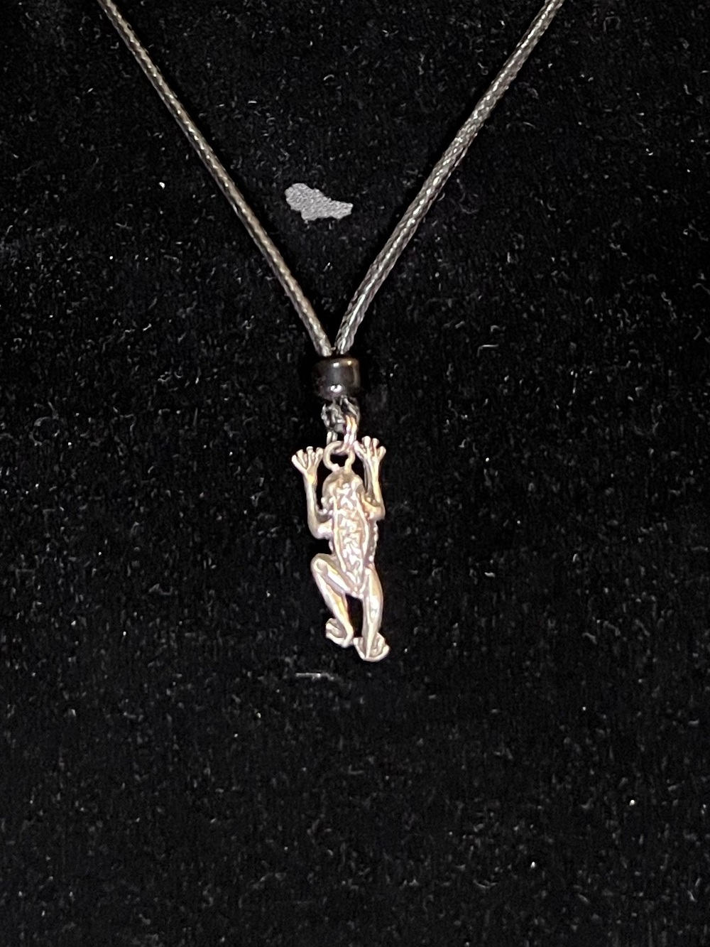 Silver Frog Pendant Necklace - Black Cord
